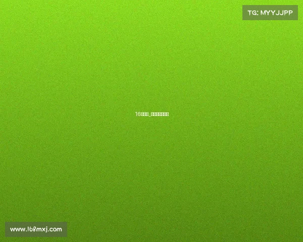 16强赛事_十六强比赛对阵 16强赛事_十六强比赛对阵