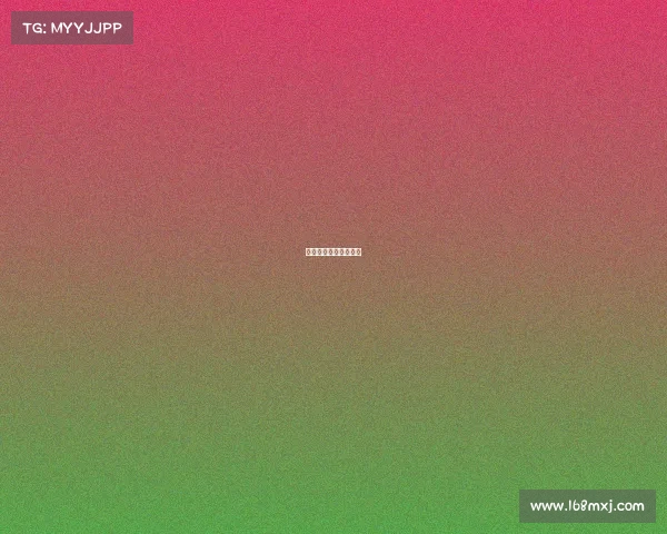 梁小龙的搏击比赛视频