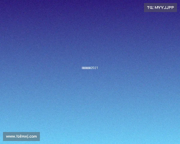 绍兴赛车比赛2021