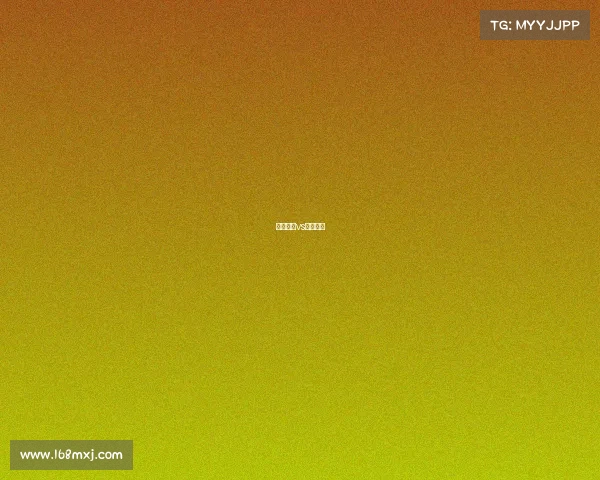 山口雷法vs金泽塞维